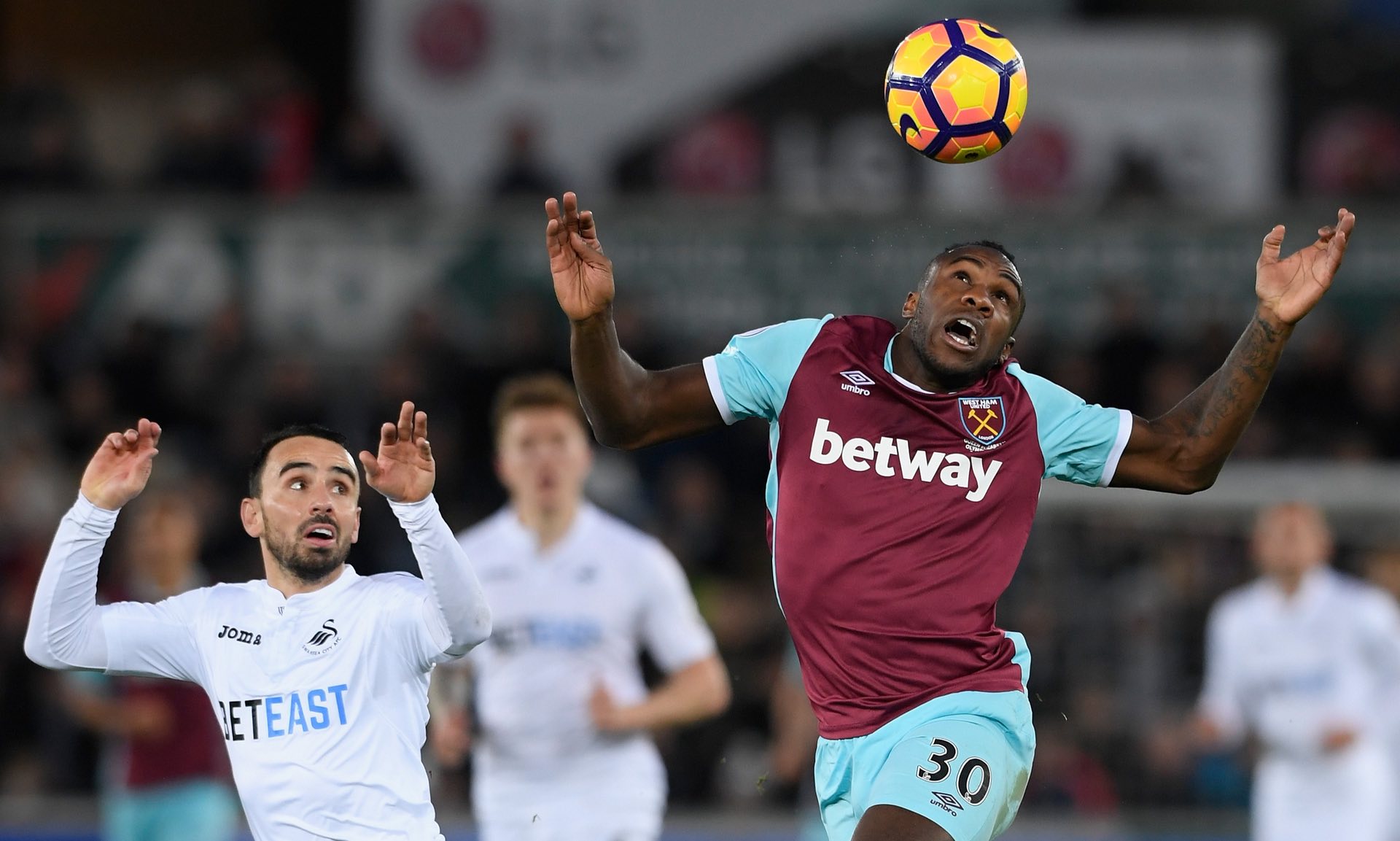 注与青睐 注与青睐